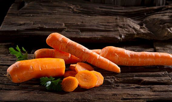 Zanahoria Evok Un Toque De Bienestar Para Tu Dia