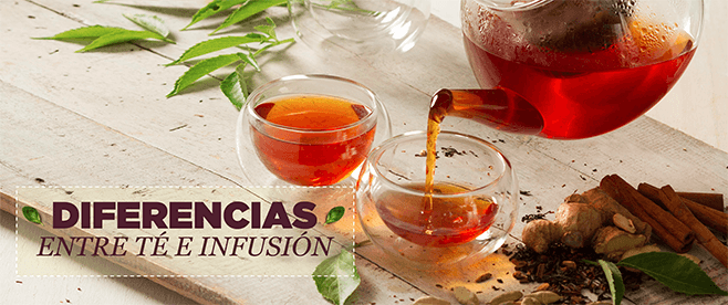 Diferencias entre té e infusión, ¿cuál es mejor?