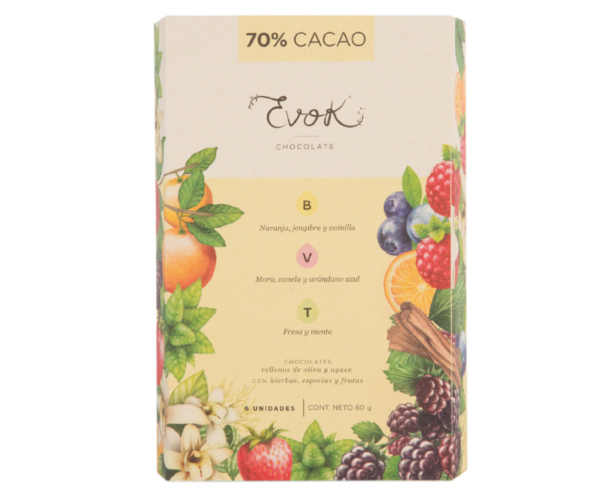 Caja de bombones de chocolate de sabores surtido al 70% cacao